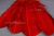 Декоративный Пучок из перьев, перо 23см/красный - купить в Старом Осколе. Цена: 11.16 руб.