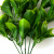 Трава искусственная -1, шт (эвкалипт лист 32 см/8 см)				 - купить в Старом Осколе. Цена: 169.93 руб.