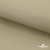 Ткань подкладочная TWILL 230T 14-1108, беж светлый 100% полиэстер,66 г/м2, шир.150 cм - купить в Старом Осколе. Цена 90.59 руб.