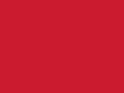 Сетка подкладочная красный, 60г/м2 (10 м/кг) - купить в Старом Осколе. Цена 885.73 руб.