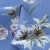 Плательная ткань "Фламенко" 12.1, 80 гр/м2, шир.150 см, принт растительный - купить в Старом Осколе. Цена 241.49 руб.