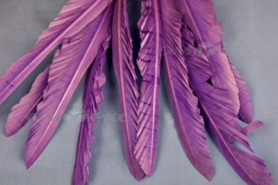 Декоративный Пучок из перьев, перо 25см/фиолетовый - купить в Старом Осколе. Цена: 12.19 руб.