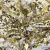 Трикотажное полотно, Сетка с пайетками, шир.130 см, #315, цв.-белый/золото - купить в Старом Осколе. Цена 693.39 руб.