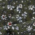 Плательная ткань "Фламенко" 11.2, 80 гр/м2, шир.150 см, принт растительный - купить в Старом Осколе. Цена 259.21 руб.