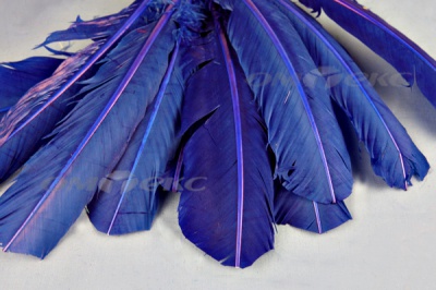 Декоративный Пучок из перьев, перо 23см/синий - купить в Старом Осколе. Цена: 12.34 руб.